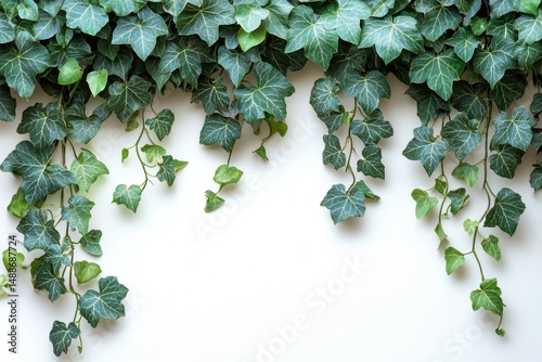 Green ivy trailing down a light wall creates a calming natural atmosphere in a cozy indoor space