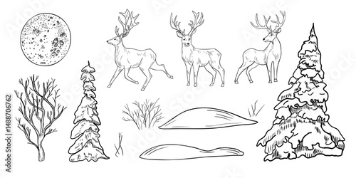 Hand drawn black white deer and forest vector outline clipart illustration. Woodland animal line art sketch with fir trees, bare tree, full moon and snowy ground for winter and Christmas landscape.