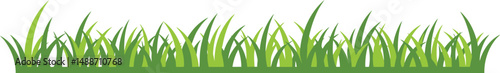 Green grass isolated on white evokes a fresh, summery feel of nature's growth against a clean backdrop