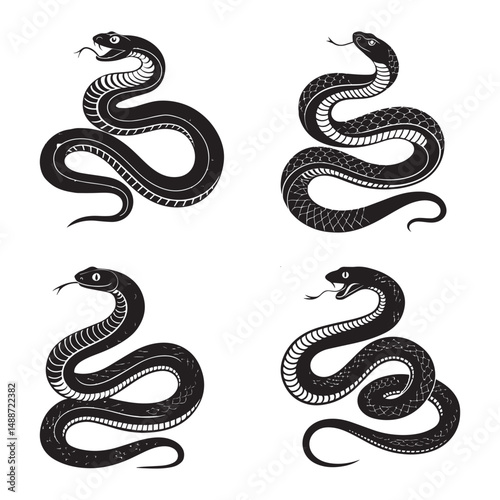 vector illustration of a snakes