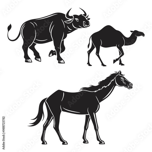 Silhouettes of buffalo camel and horse animals