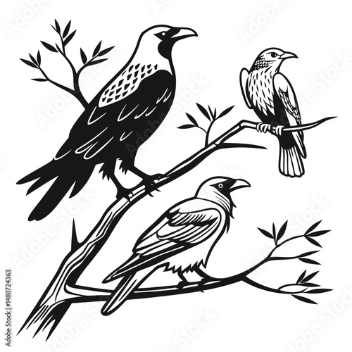 Three black birds perched on branches tree