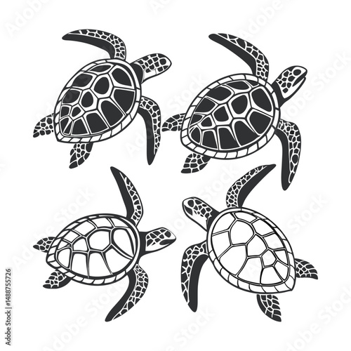 A set of  simple black and white illustration of a sea turtle viewed from above. The turtle has a detailed shell with geometric patterns, flippers extended, and a textured head.