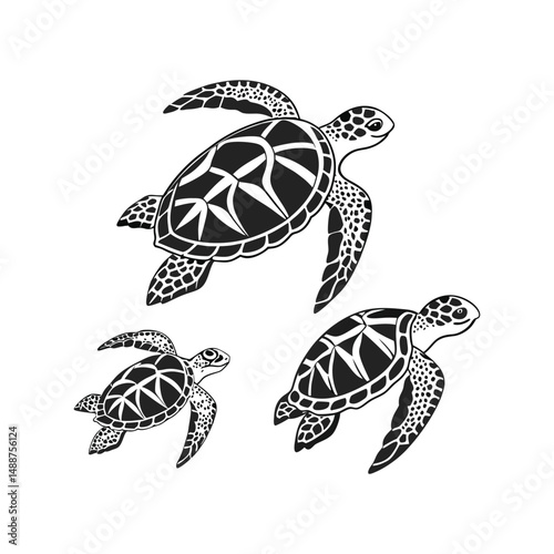 A set of  simple black and white illustration of a sea turtle viewed from above. The turtle has a detailed shell with geometric patterns, flippers extended, and a textured head.