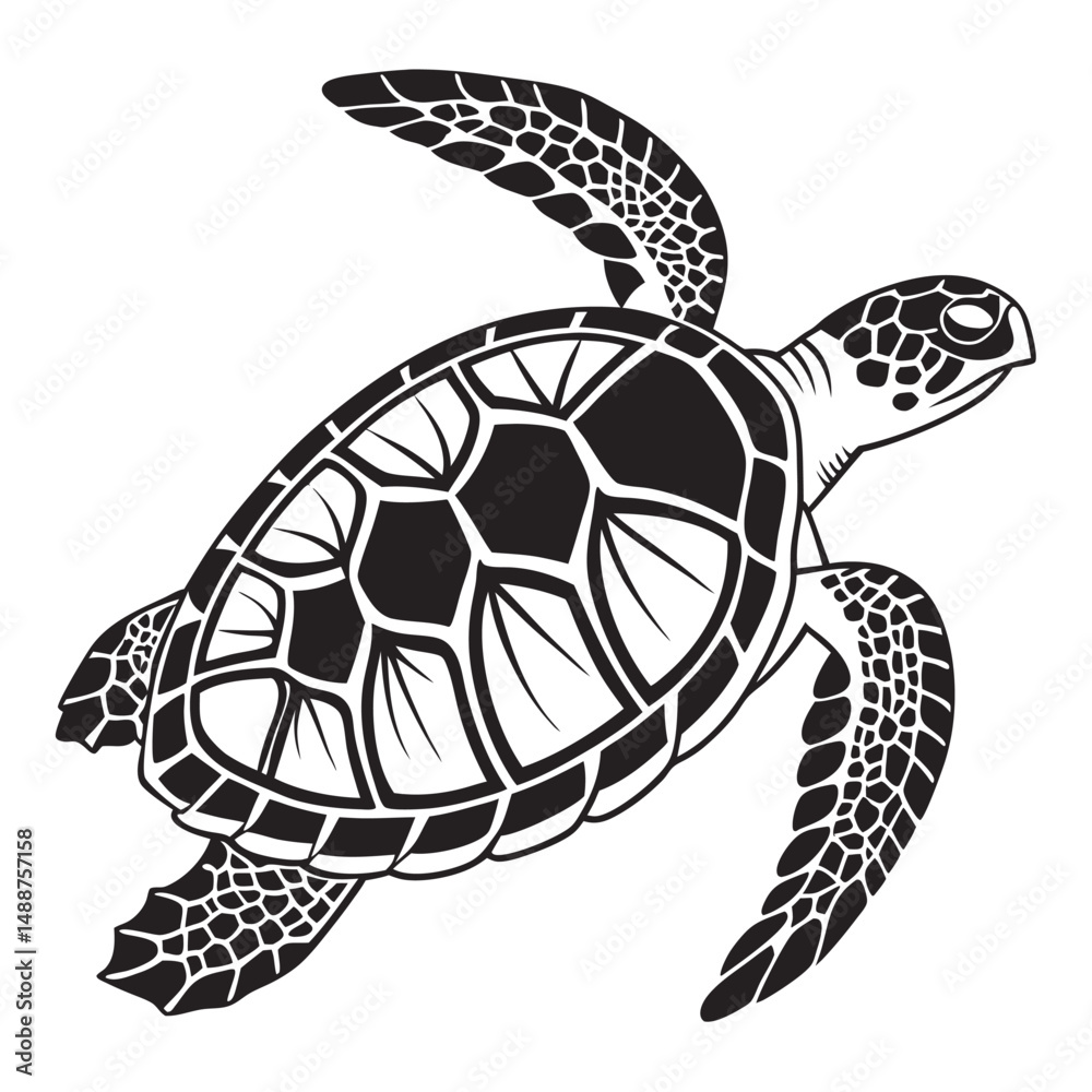 Obraz premium A set of simple black and white illustration of a sea turtle viewed from above. The turtle has a detailed shell with geometric patterns, flippers extended, and a textured head.