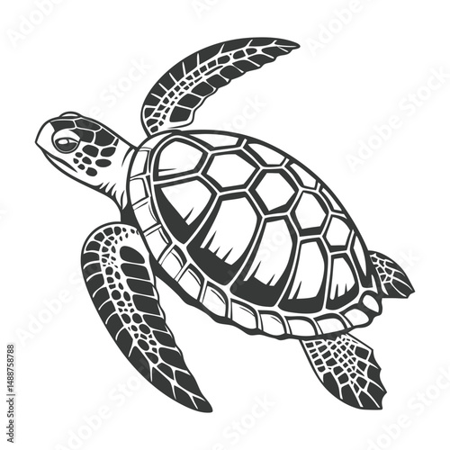 A set of  simple black and white illustration of a sea turtle viewed from above. The turtle has a detailed shell with geometric patterns, flippers extended, and a textured head.