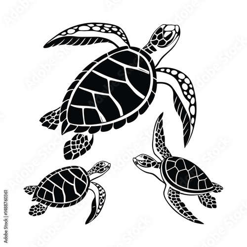 A set of  simple black and white illustration of a sea turtle viewed from above. The turtle has a detailed shell with geometric patterns, flippers extended, and a textured head.