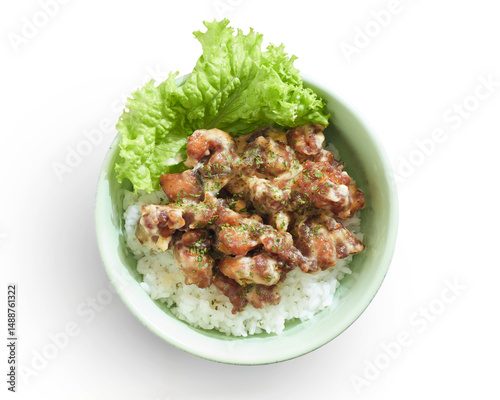 Isolated Delicious Chicken Rice Bowl With Buttermilk Sauce Fresh Lettuce and Seasoning Served in a Light Green Bowl