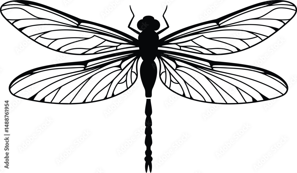 Hyper realistic detailed black and white line art dragonfly illustration with intricate wing structure

