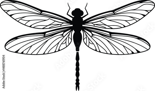 Hyper realistic detailed black and white line art dragonfly illustration with intricate wing structure

