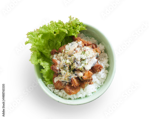 Isolated Delicious Bowl of Rice Topped With Crispy Chicken and Creamy Mushroom Sauce Served With Fresh Lettuce