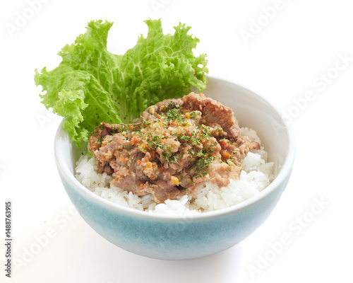 Isolated Delicious Bowl of Rice Topped With Seasoned Spicy Minced Meat and Fresh Lettuce Served in a Ceramic Dish