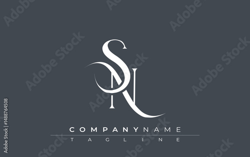 Initial SN Logo Design Vector. Elegant Monogram Logo Design with Decorative Elements and Typography