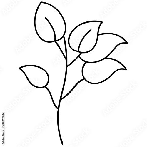 Eucalyptus tree silhouette design with transparency for nature and botanical themes
