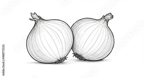 Wallpaper Mural Two Fresh Onions Illustration - Line drawing of two whole onions, perfect for culinary websites, cookbooks, or healthy eating content Torontodigital.ca