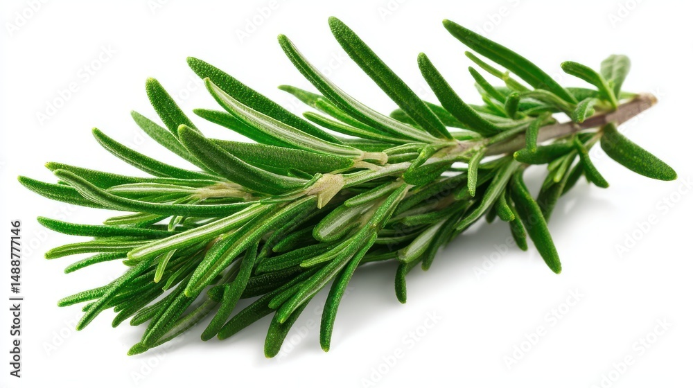 Fototapeta premium A 4K photo of fresh Rosemary Sprig Isolated on White - Aromatic herb, culinary ingredient, cooking, Mediterranean cuisine, natural fragrance.