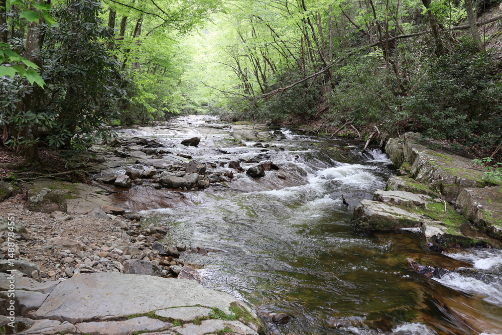 Fototapeta premium Large stream running through the woods of the blue ridge mountains in Tennessee.