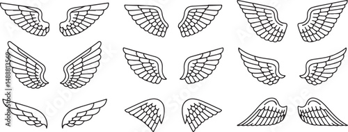 Collection of Twelve Different Wing Designs Line Art