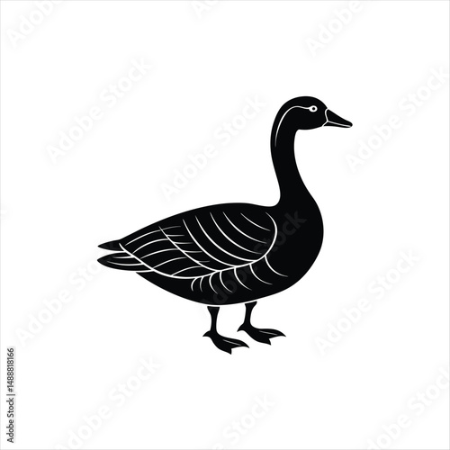 A brown and white goose, a wild waterfowl with an orange beak, is isolated against a white background