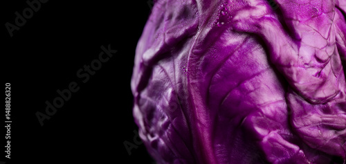 Red cabbage macro shot, whole head of cabbage over black background, border design. Eco vegetables,  bio violet cabbage, vegan food, heathy eating concept 