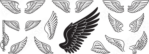 Collection of Black and White Wing Designs for Graphic Design