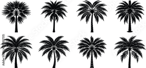 Wallpaper Mural palm tree silhouettes Torontodigital.ca