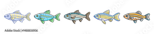 zebra danio fish icon, zebra danio fish line art - simple line art of zebra danio fish, perfect for zebra danio fish logos and icons