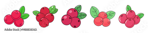 cranberry icon, cranberry line art - simple line art of cranberry, perfect for cranberry logos and icons