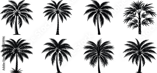 palm tree silhouette illustration on white background