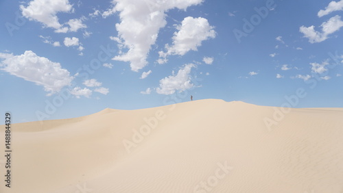 Fototapeta Naklejka Na Ścianę i Meble -  Sand dune and sky