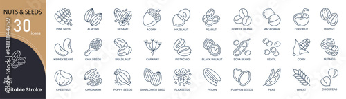 Nuts and seeds related line icons set. Pack outline pictograms of cacao pod, cashew, walnut, acorn, hazelnut, peanut, coffee beans and other. Editable stroke. Outline icons