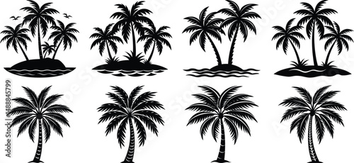 palm tree silhouettes with beach, vacation, nature, tropical, ocean, on white background