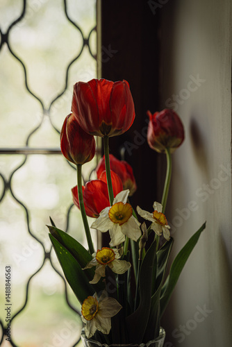 bouquet of dark red tulips and fading daffodils by window grate