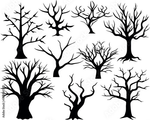 Collections bare tree against isolated on white background, clipping path