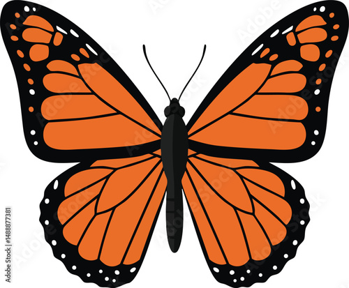 Monarch butterfly vector illustration with orange and black wings isolated on white background 