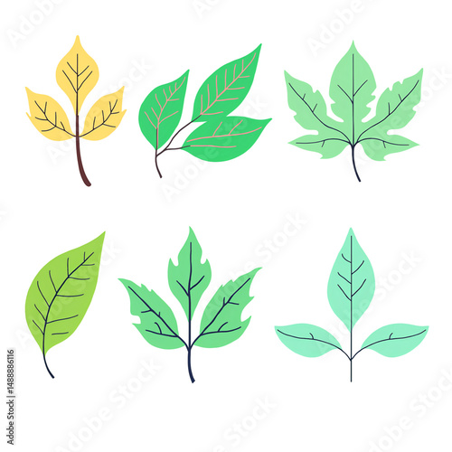 Illustration Vector Of Leaf Design Element