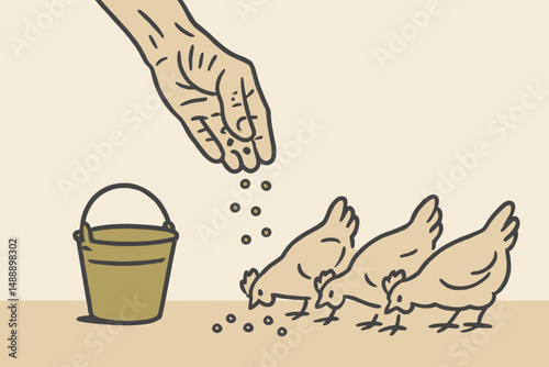 Hand feeding chickens with seeds from a bucket on a farm  