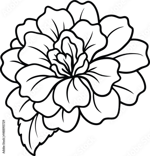 geranium flower vector art