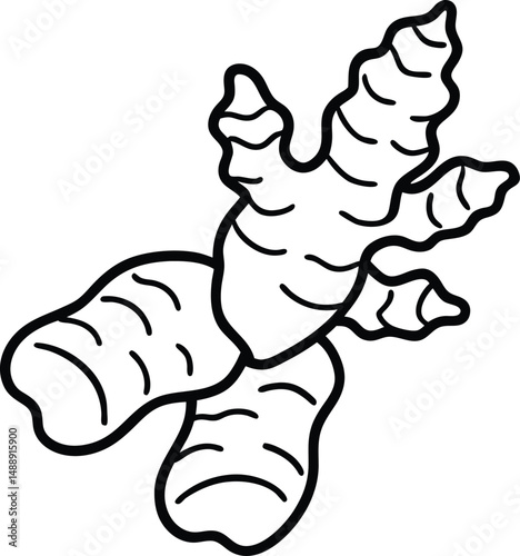 ginger root flat isolated silhouette