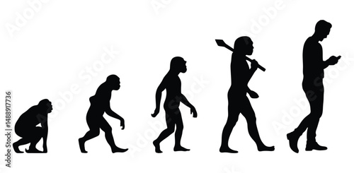 Human evolution vector.