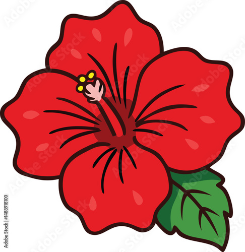 red hibiscus flower