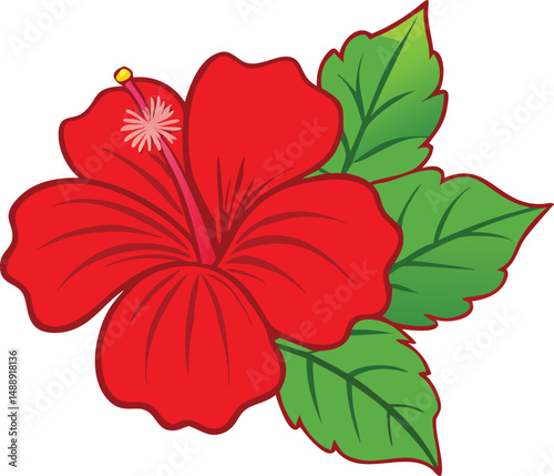 red hibiscus flower