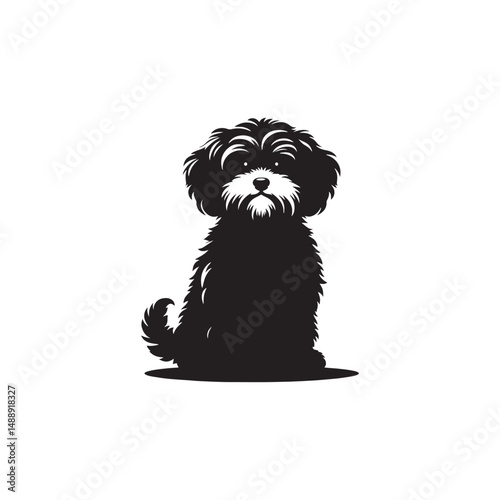 Elegant Maltipoo dog silhouette vector illustration featuring the playful charm of this poodle-Maltese mix breed, ideal for pet art, design projects, and dog lover graphics.
