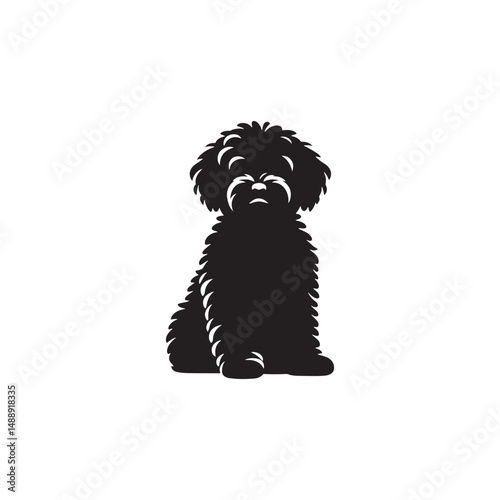 Elegant Maltipoo dog silhouette vector illustration featuring the playful charm of this poodle-Maltese mix breed, ideal for pet art, design projects, and dog lover graphics.

