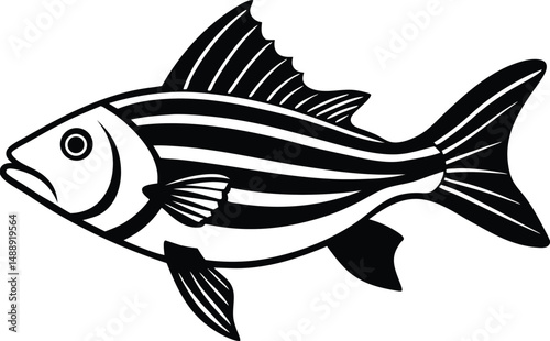 striped bass fish isolated silhouette 
