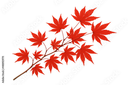 Isolated red maple branch displaying vivid foliage, highlighting seasonal autumn color with crisp transparent backdrop