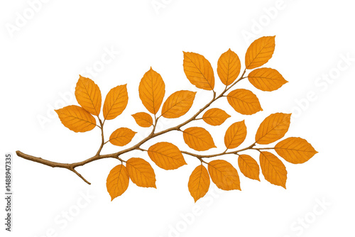 Autumn branch displaying vibrant orange leaves, isolated on transparent background, highlighting seasonal botanical beauty
