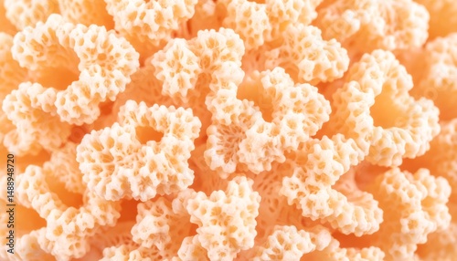 Exquisite closeup, unveiling the delicate beauty of a white flower in full bloom photo