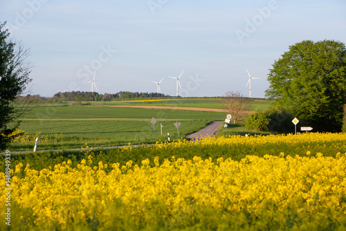 wind turbines and rapeseed under blue sky in german saarland in spring