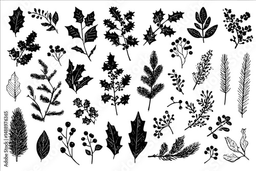 Christmas Tree Vector Illustration Hand Drawn Floral Holly Berry Winter Leaves Ink Brush Sketch